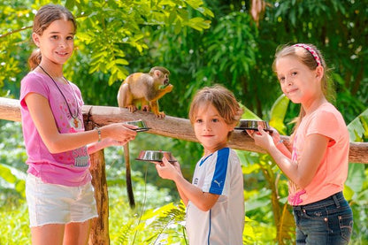 🐒 Monkey Land + Tour Ecológico: Diversión, Naturaleza y Monos Cariñosos en un Solo Día 🌿✨