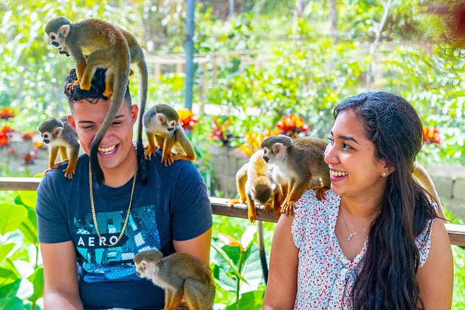 🐒 Monkey Land + Tour Ecológico: Diversión, Naturaleza y Monos Cariñosos en un Solo Día 🌿✨
