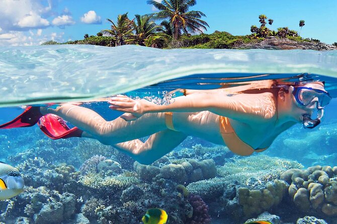 🐠 Isla Catalina: Snorkel, Playa Virgen y Almuerzo Incluido – ¡Tu día perfecto en el Caribe! 🏝️🌊