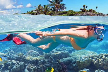 🐠 Isla Catalina: Snorkel, Playa Virgen y Almuerzo Incluido – ¡Tu día perfecto en el Caribe! 🏝️🌊
