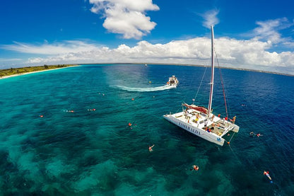 🐠 Isla Catalina: Snorkel, Playa Virgen y Almuerzo Incluido – ¡Tu día perfecto en el Caribe! 🏝️🌊