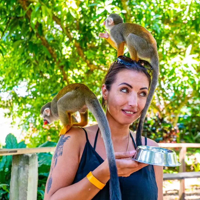 🐒 Monkey Land + Tour Ecológico: Diversión, Naturaleza y Monos Cariñosos en un Solo Día 🌿✨