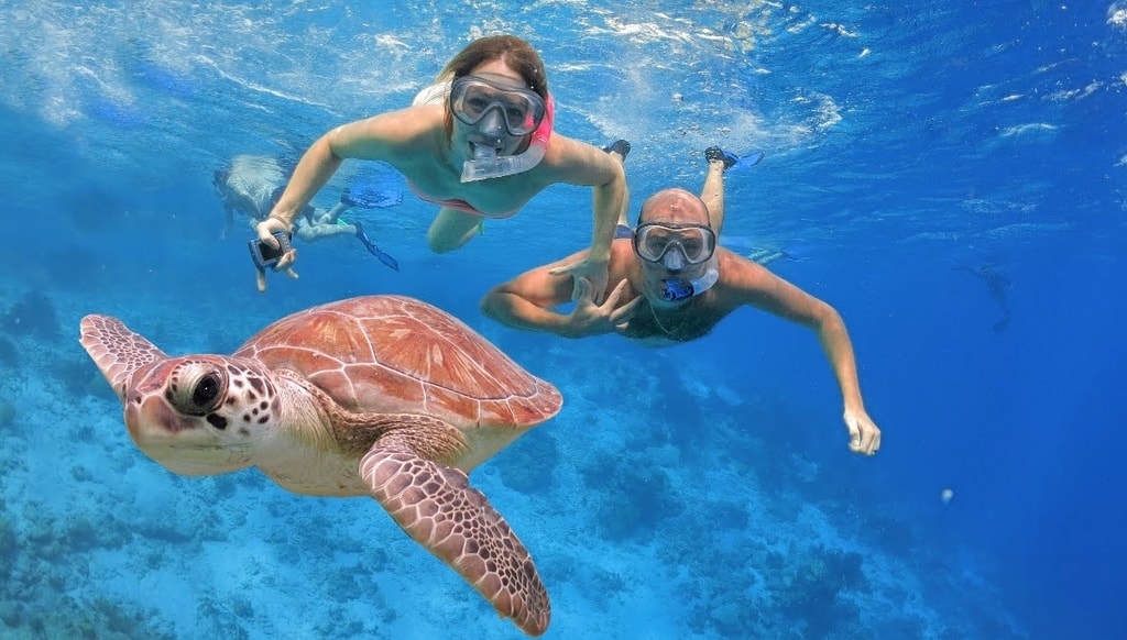 🐠 Isla Catalina: Snorkel, Playa Virgen y Almuerzo Incluido – ¡Tu día perfecto en el Caribe! 🏝️🌊