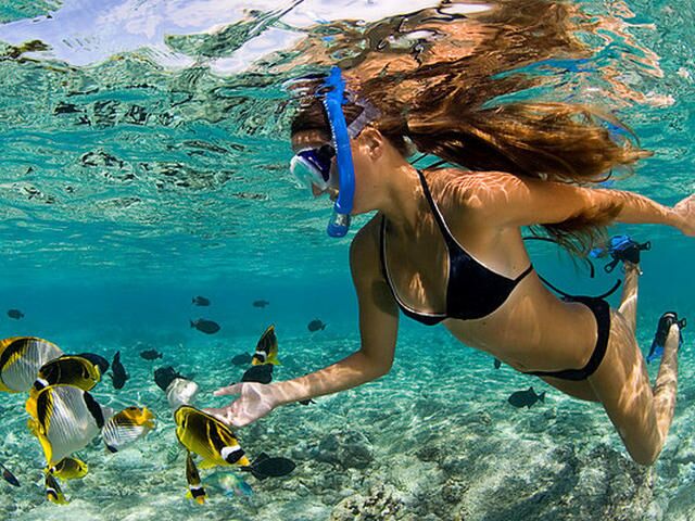 🐠 Isla Catalina: Snorkel, Playa Virgen y Almuerzo Incluido – ¡Tu día perfecto en el Caribe! 🏝️🌊