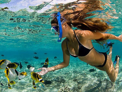 🐠 Isla Catalina: Snorkel, Playa Virgen y Almuerzo Incluido – ¡Tu día perfecto en el Caribe! 🏝️🌊