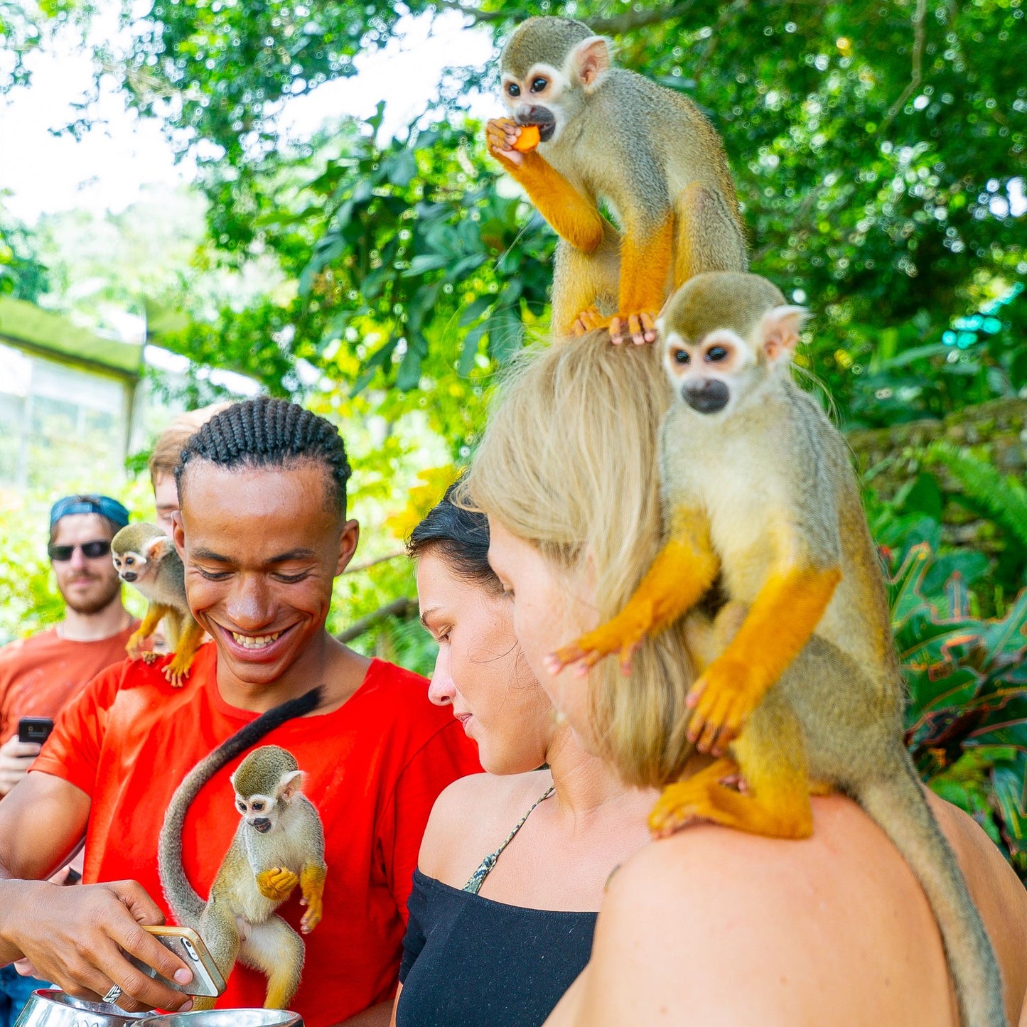 🐒 Monkey Land + Tour Ecológico: Diversión, Naturaleza y Monos Cariñosos en un Solo Día 🌿✨