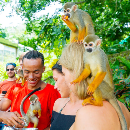 🐒 Monkey Land + Tour Ecológico: Diversión, Naturaleza y Monos Cariñosos en un Solo Día 🌿✨