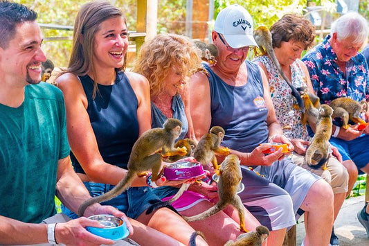 🐒 Monkey Land + Tour Ecológico: Diversión, Naturaleza y Monos Cariñosos en un Solo Día 🌿✨