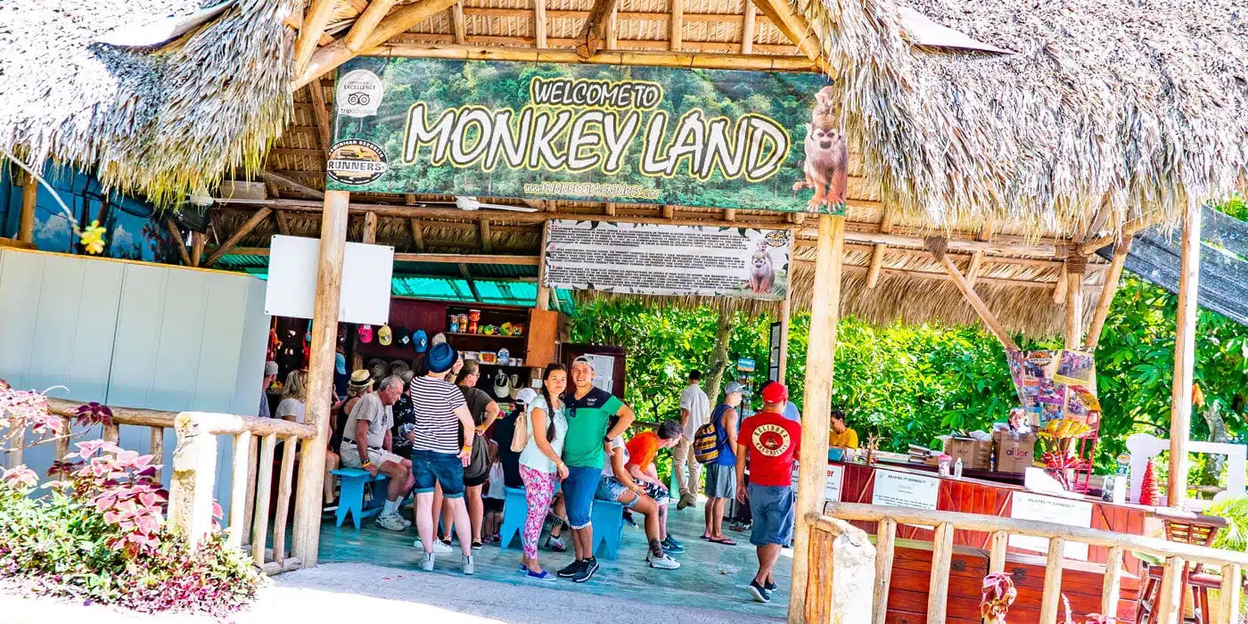 🐒 Monkey Land + Tour Ecológico: Diversión, Naturaleza y Monos Cariñosos en un Solo Día 🌿✨